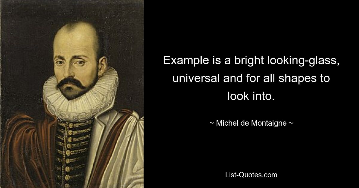 Example is a bright looking-glass, universal and for all shapes to look into. — © Michel de Montaigne