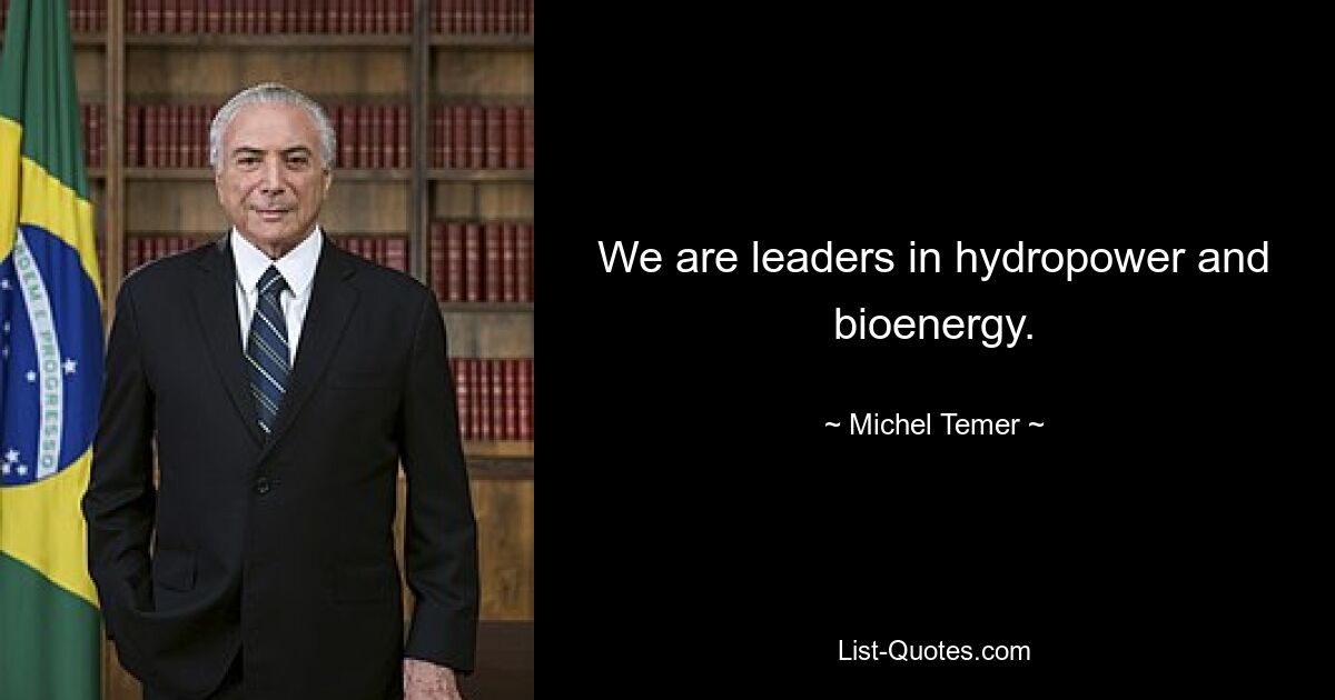 We are leaders in hydropower and bioenergy. — © Michel Temer