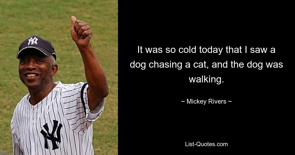 It was so cold today that I saw a dog chasing a cat, and the dog was walking. — © Mickey Rivers