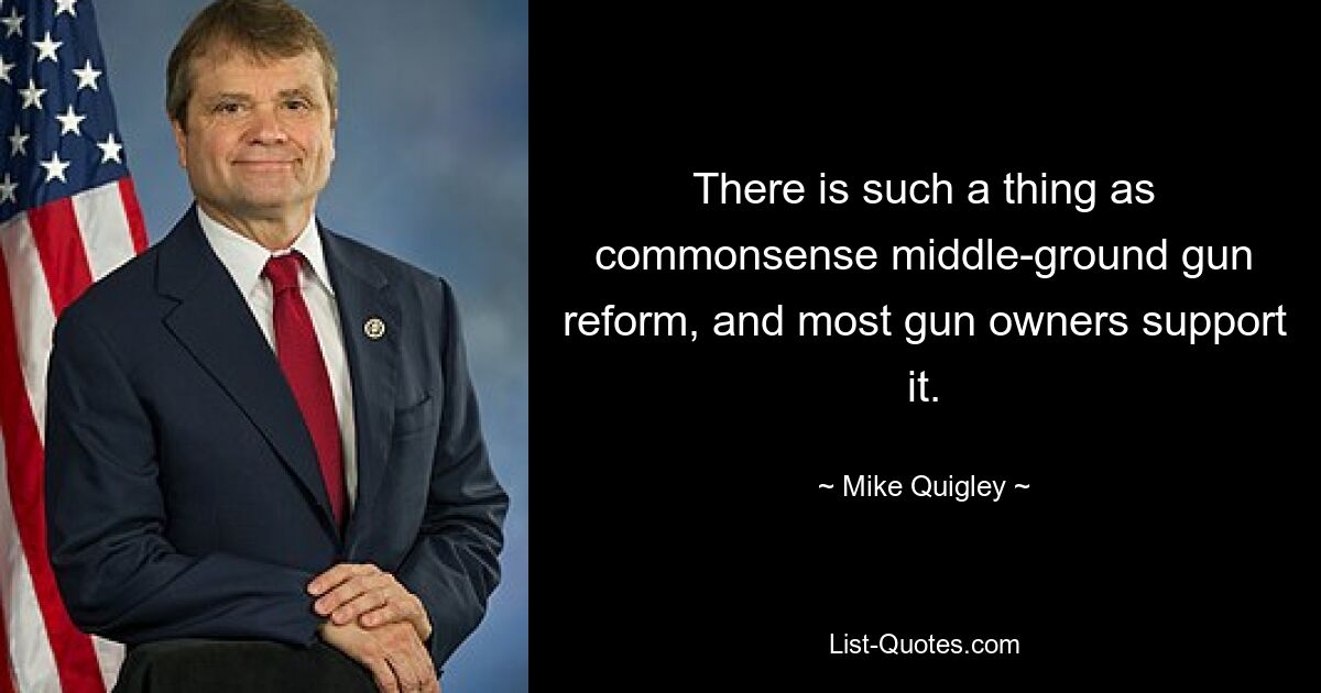 There is such a thing as commonsense middle-ground gun reform, and most gun owners support it. — © Mike Quigley