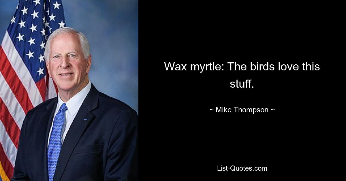 Wax myrtle: The birds love this stuff. — © Mike Thompson