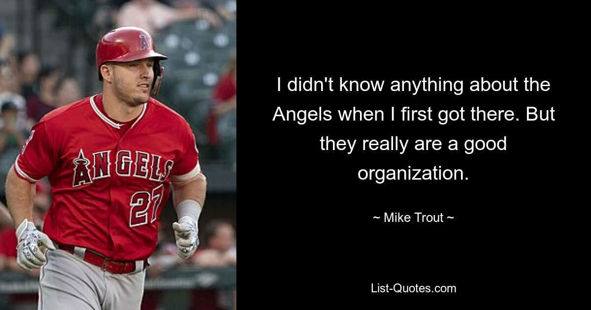 I didn't know anything about the Angels when I first got there. But they really are a good organization. — © Mike Trout