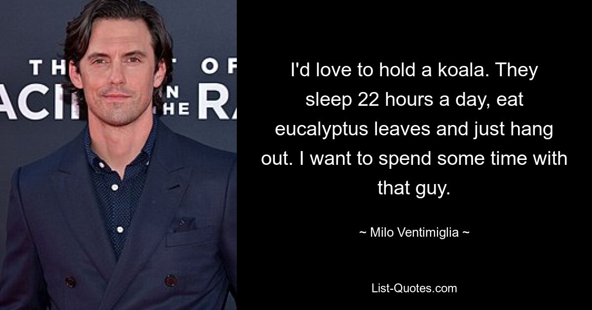 I'd love to hold a koala. They sleep 22 hours a day, eat eucalyptus leaves and just hang out. I want to spend some time with that guy. — © Milo Ventimiglia