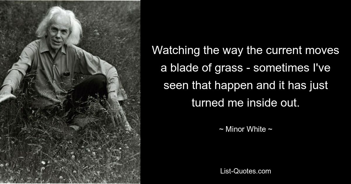 Watching the way the current moves a blade of grass - sometimes I've seen that happen and it has just turned me inside out. — © Minor White