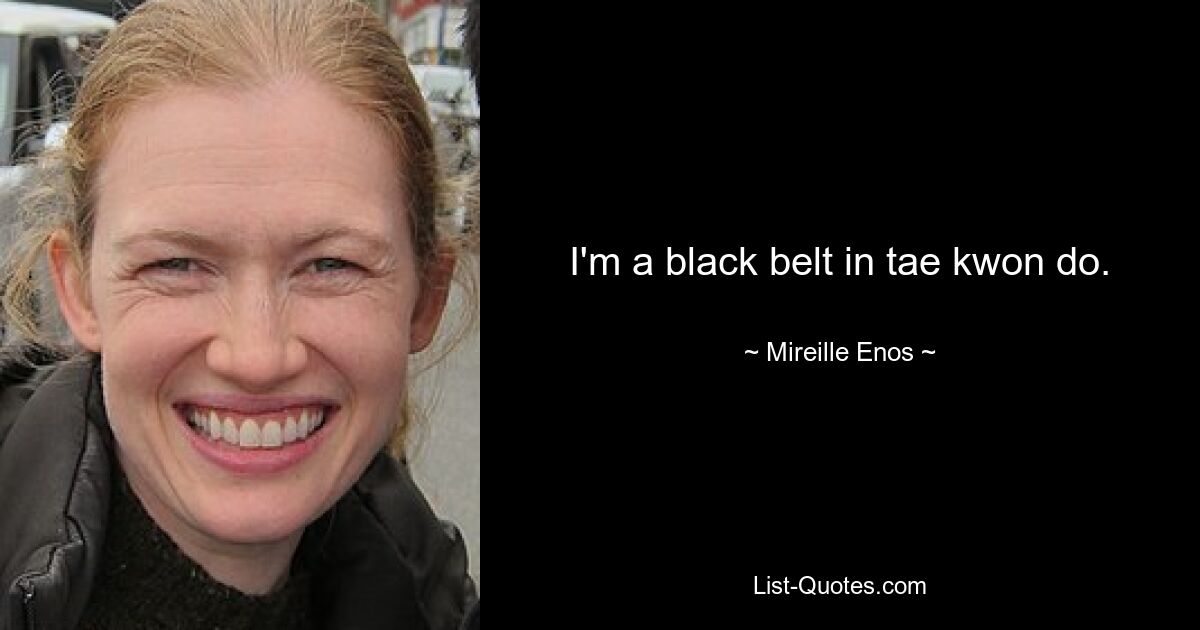 I'm a black belt in tae kwon do. — © Mireille Enos