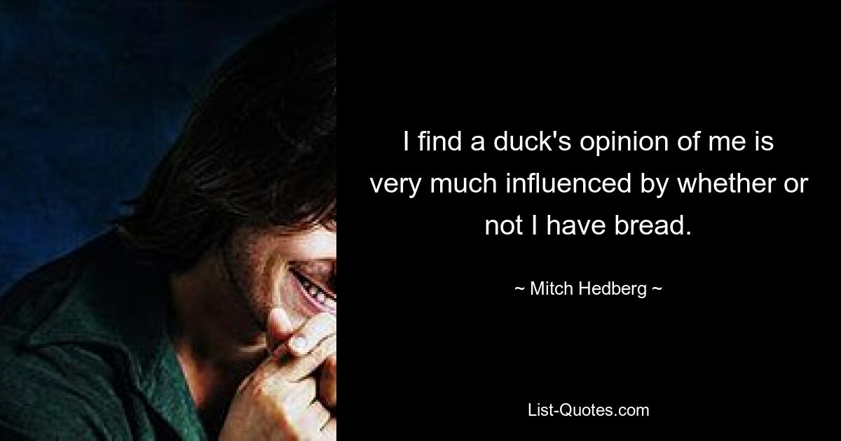 I find a duck's opinion of me is very much influenced by whether or not I have bread. — © Mitch Hedberg