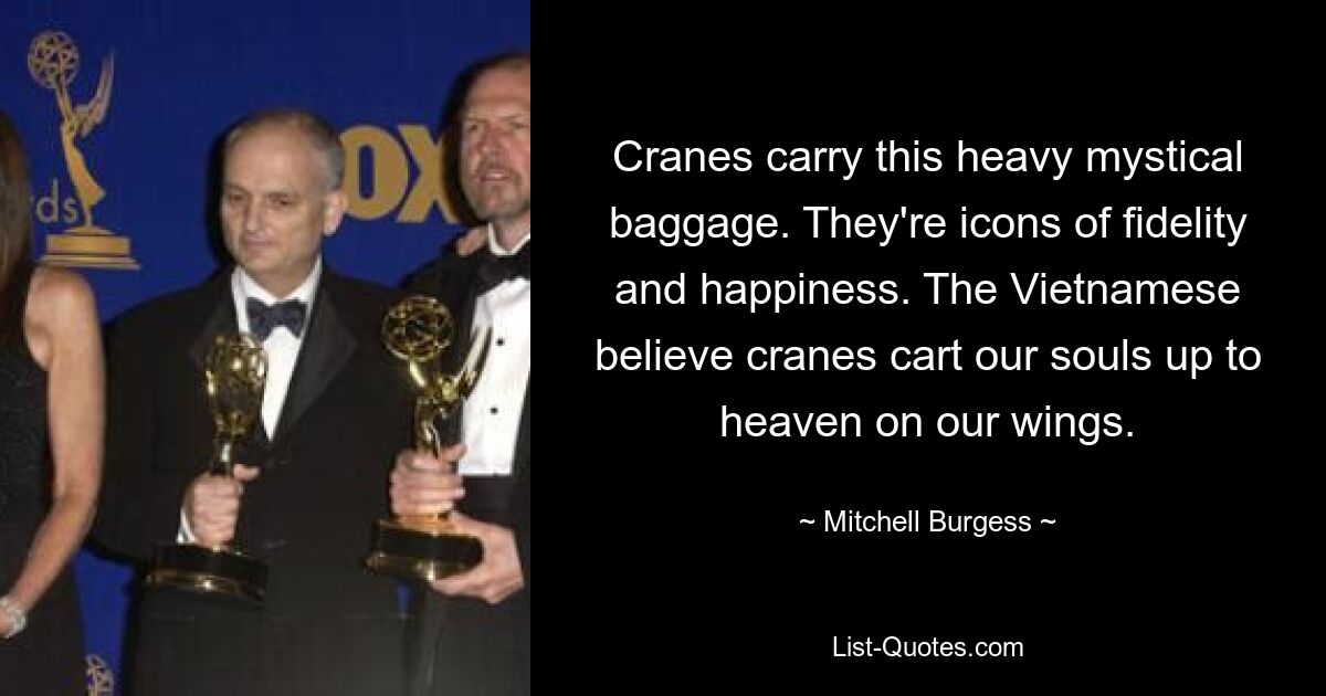 Cranes carry this heavy mystical baggage. They're icons of fidelity and happiness. The Vietnamese believe cranes cart our souls up to heaven on our wings. — © Mitchell Burgess