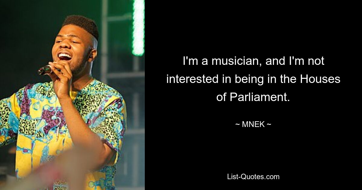 Ich bin Musiker und habe kein Interesse daran, im Parlament zu sein. — © MNEK