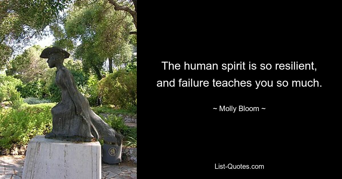 The human spirit is so resilient, and failure teaches you so much. — © Molly Bloom