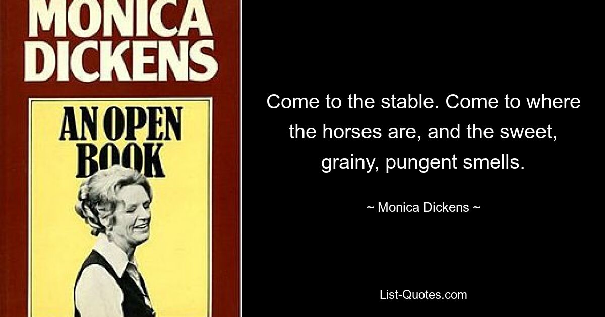 Приходите в конюшню. Приходите туда, где стоят лошади, и пахнет сладким, зернистым, острым запахом. — © Моника Диккенс