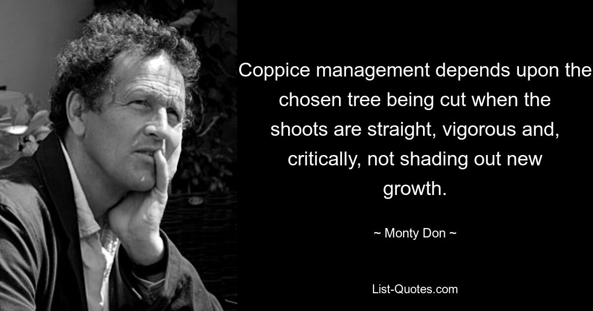 Coppice management depends upon the chosen tree being cut when the shoots are straight, vigorous and, critically, not shading out new growth. — © Monty Don