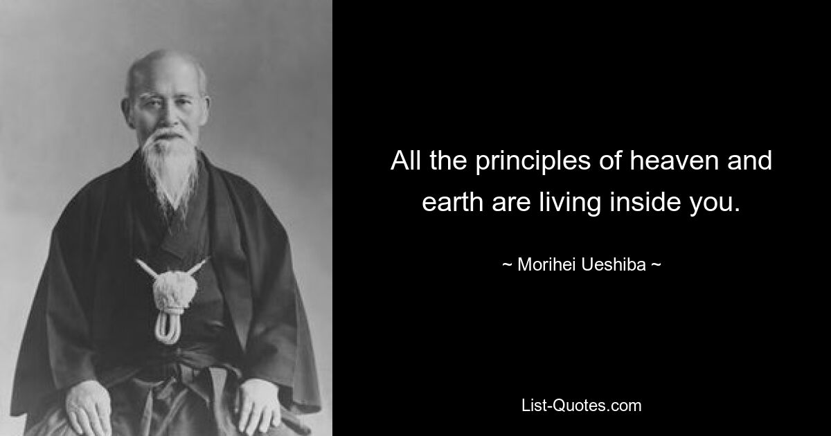 All the principles of heaven and earth are living inside you. — © Morihei Ueshiba