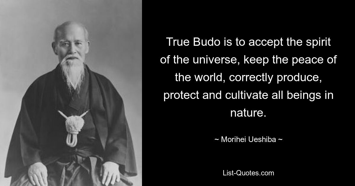 Истинное Будо – это принять дух Вселенной, сохранить мир во всем мире, правильно производить, защищать и развивать все существа в природе. — © Морихей Уэсиба 