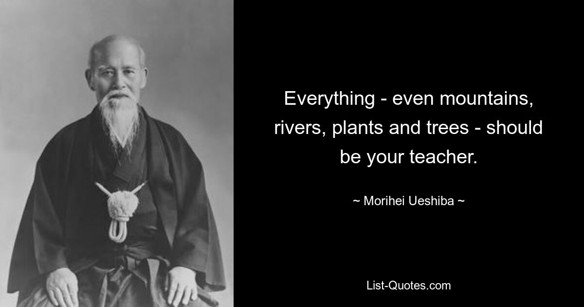 Все — даже горы, реки, растения и деревья — должно быть вашим учителем. — © Морихей Уэсиба 