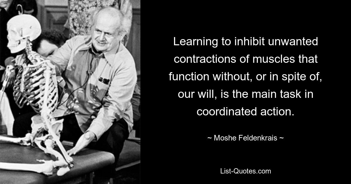 Learning to inhibit unwanted contractions of muscles that function without, or in spite of, our will, is the main task in coordinated action. — © Moshe Feldenkrais