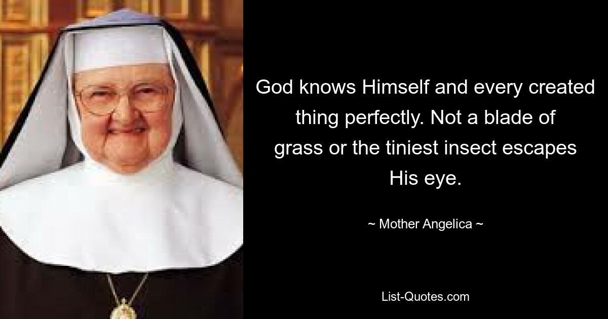 God knows Himself and every created thing perfectly. Not a blade of grass or the tiniest insect escapes His eye. — © Mother Angelica