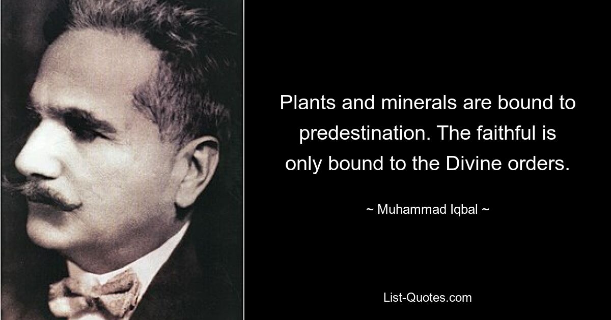 Plants and minerals are bound to predestination. The faithful is only bound to the Divine orders. — © Muhammad Iqbal