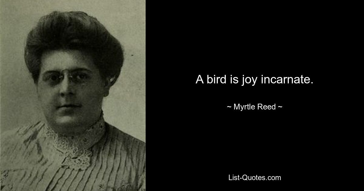 A bird is joy incarnate. — © Myrtle Reed