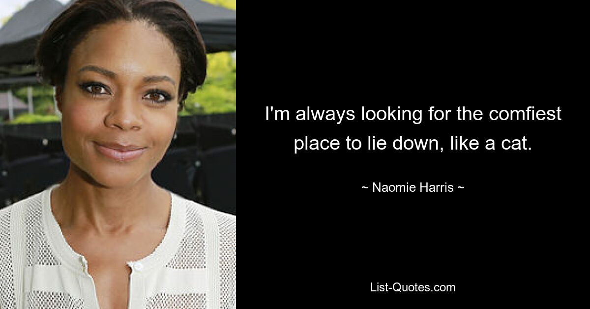 I'm always looking for the comfiest place to lie down, like a cat. — © Naomie Harris