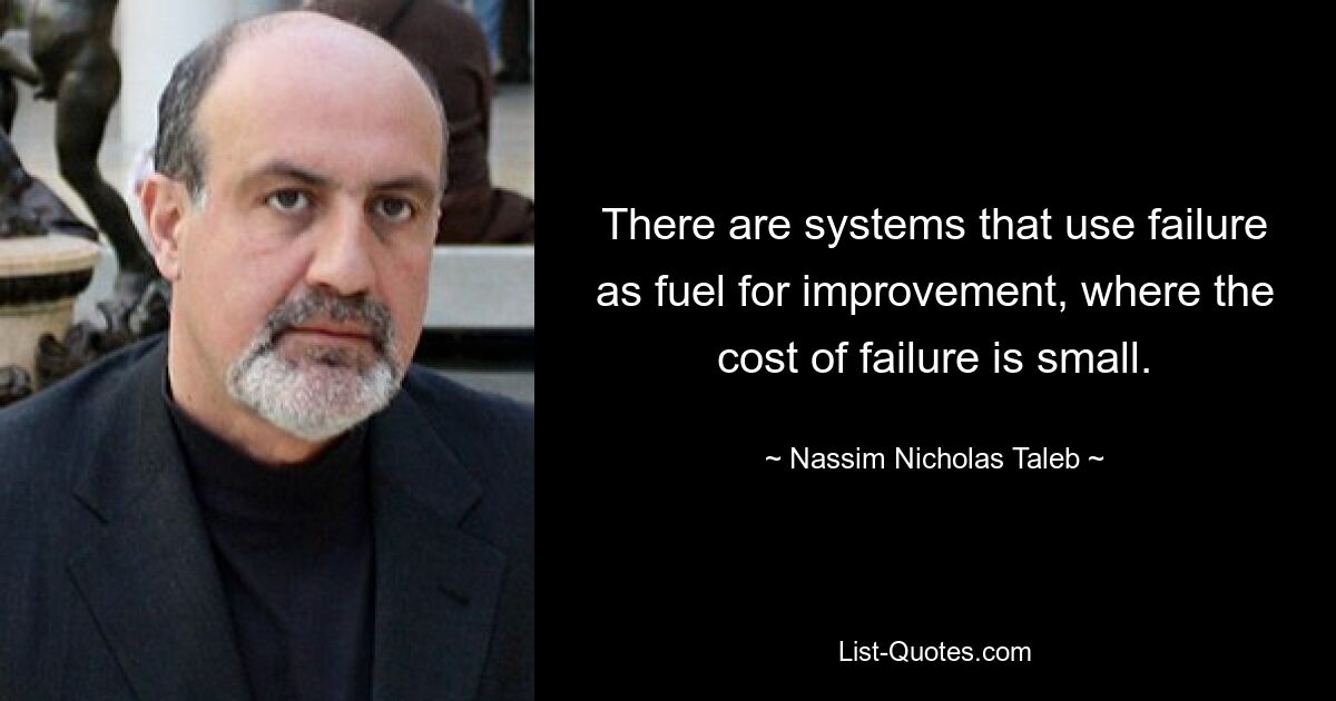 There are systems that use failure as fuel for improvement, where the cost of failure is small. — © Nassim Nicholas Taleb