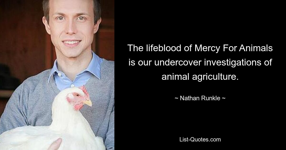 The lifeblood of Mercy For Animals is our undercover investigations of animal agriculture. — © Nathan Runkle