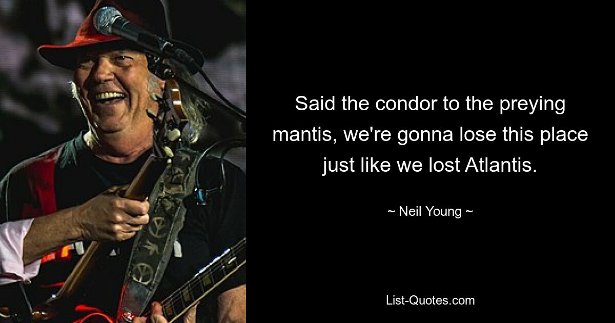 Said the condor to the preying mantis, we're gonna lose this place just like we lost Atlantis. — © Neil Young