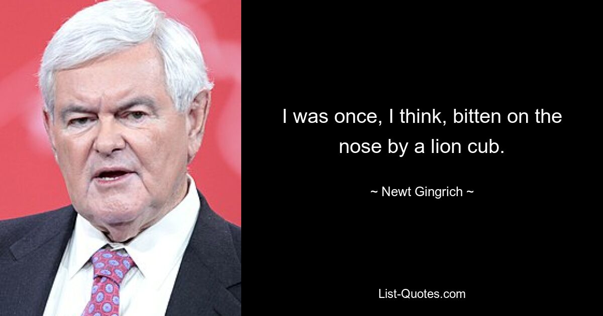 I was once, I think, bitten on the nose by a lion cub. — © Newt Gingrich