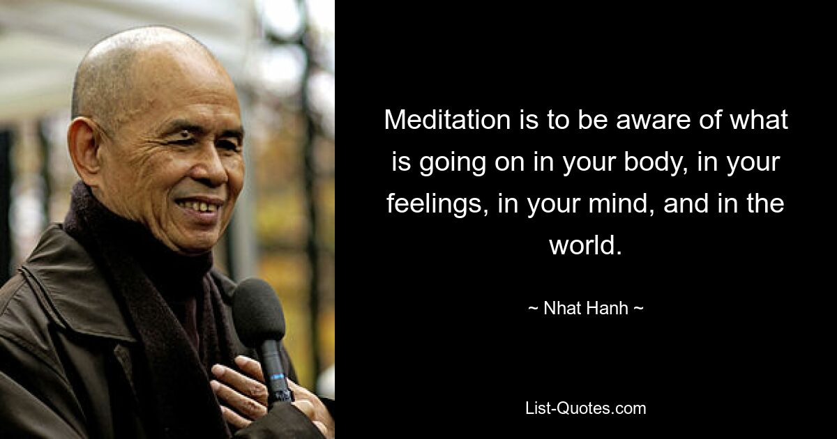 Meditation is to be aware of what is going on in your body, in your feelings, in your mind, and in the world. — © Nhat Hanh