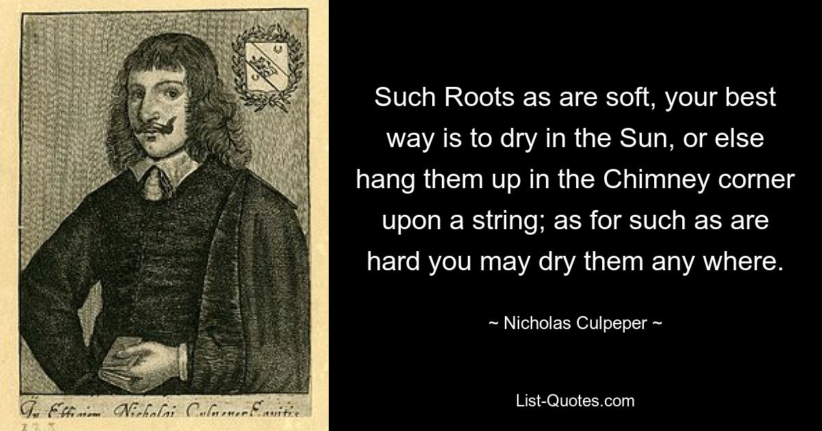 Мягкие корни лучше всего сушить на солнце или подвесить в углу у камина на веревке; а твердые можно сушить где угодно. — © Николас Калпепер 