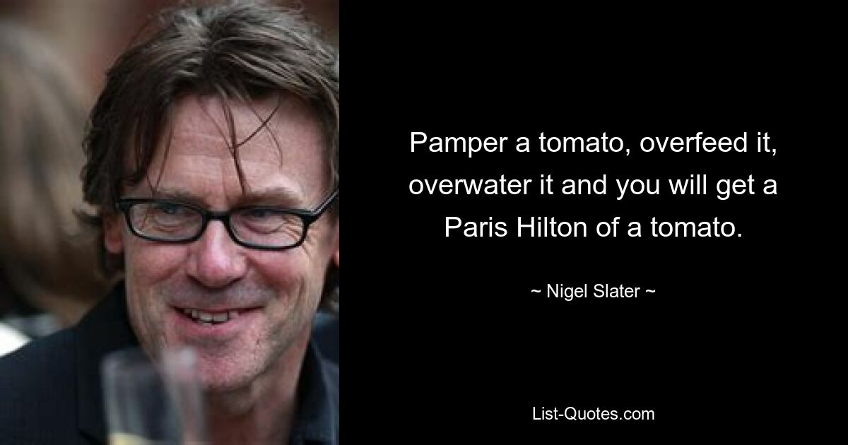 Pamper a tomato, overfeed it, overwater it and you will get a Paris Hilton of a tomato. — © Nigel Slater