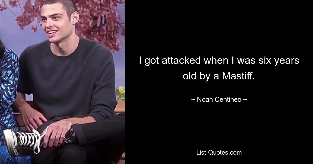 I got attacked when I was six years old by a Mastiff. — © Noah Centineo