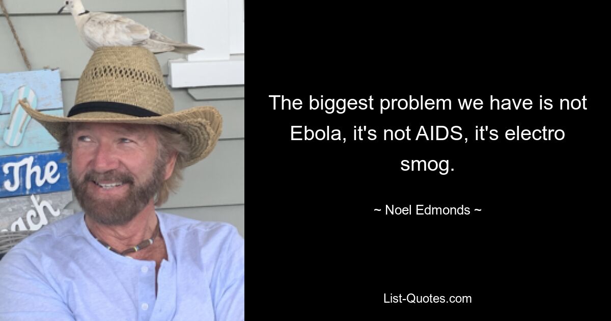 The biggest problem we have is not Ebola, it's not AIDS, it's electro smog. — © Noel Edmonds