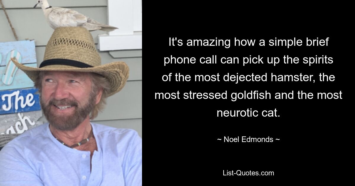 It's amazing how a simple brief phone call can pick up the spirits of the most dejected hamster, the most stressed goldfish and the most neurotic cat. — © Noel Edmonds