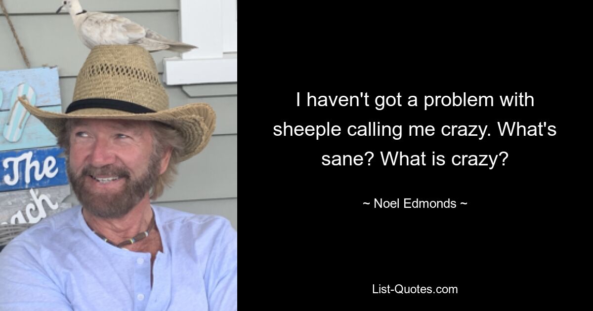 I haven't got a problem with sheeple calling me crazy. What's sane? What is crazy? — © Noel Edmonds