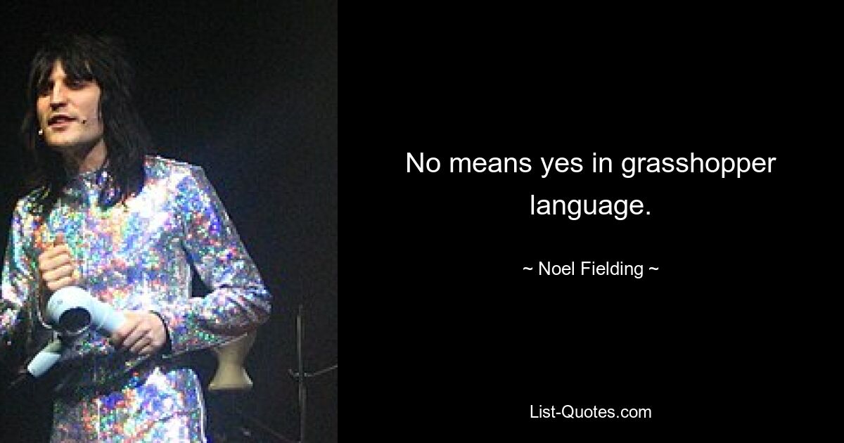 No means yes in grasshopper language. — © Noel Fielding