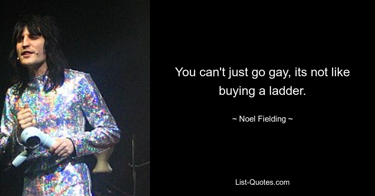 You can't just go gay, its not like buying a ladder. — © Noel Fielding