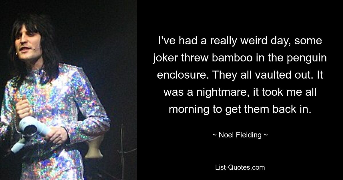 I've had a really weird day, some joker threw bamboo in the penguin enclosure. They all vaulted out. It was a nightmare, it took me all morning to get them back in. — © Noel Fielding