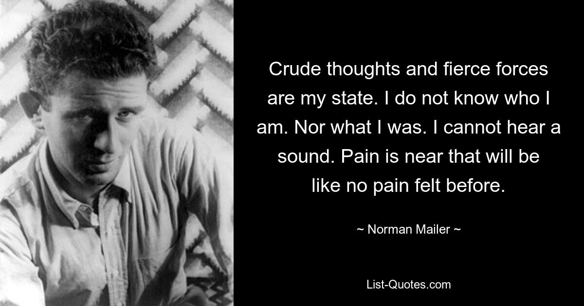 Crude thoughts and fierce forces are my state. I do not know who I am. Nor what I was. I cannot hear a sound. Pain is near that will be like no pain felt before. — © Norman Mailer