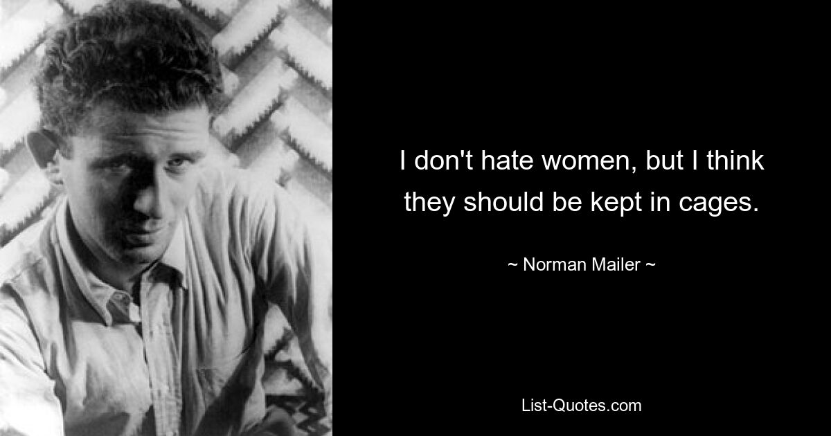 I don't hate women, but I think they should be kept in cages. — © Norman Mailer