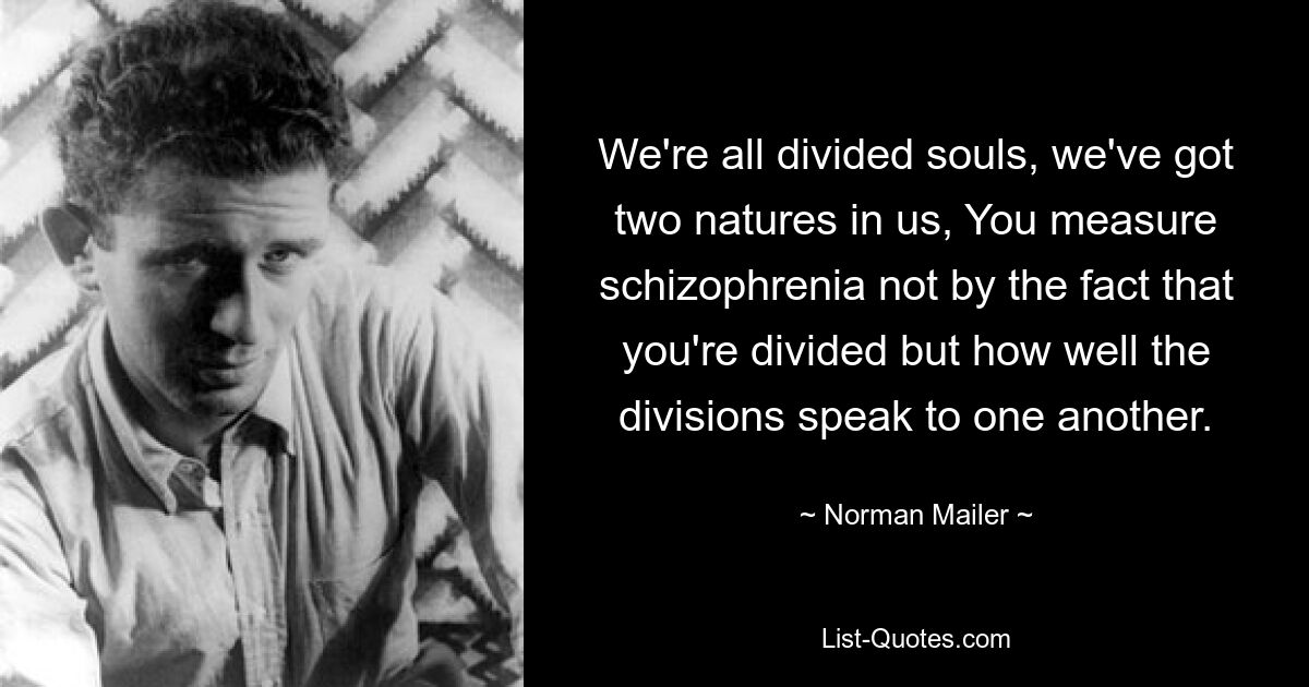 We're all divided souls, we've got two natures in us, You measure schizophrenia not by the fact that you're divided but how well the divisions speak to one another. — © Norman Mailer