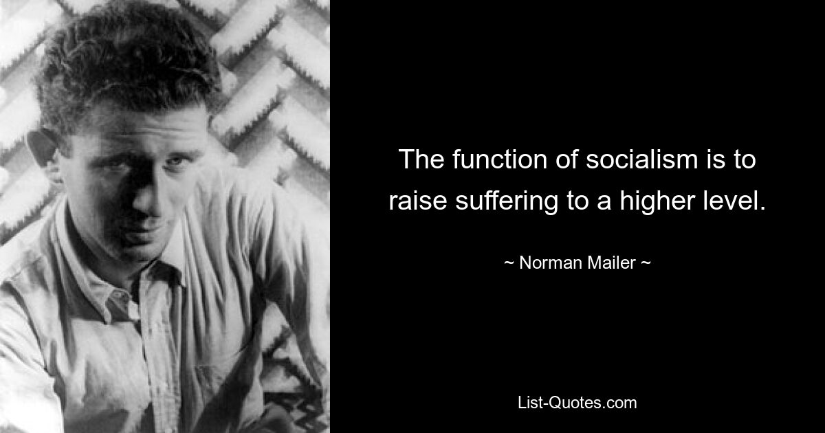 The function of socialism is to raise suffering to a higher level. — © Norman Mailer