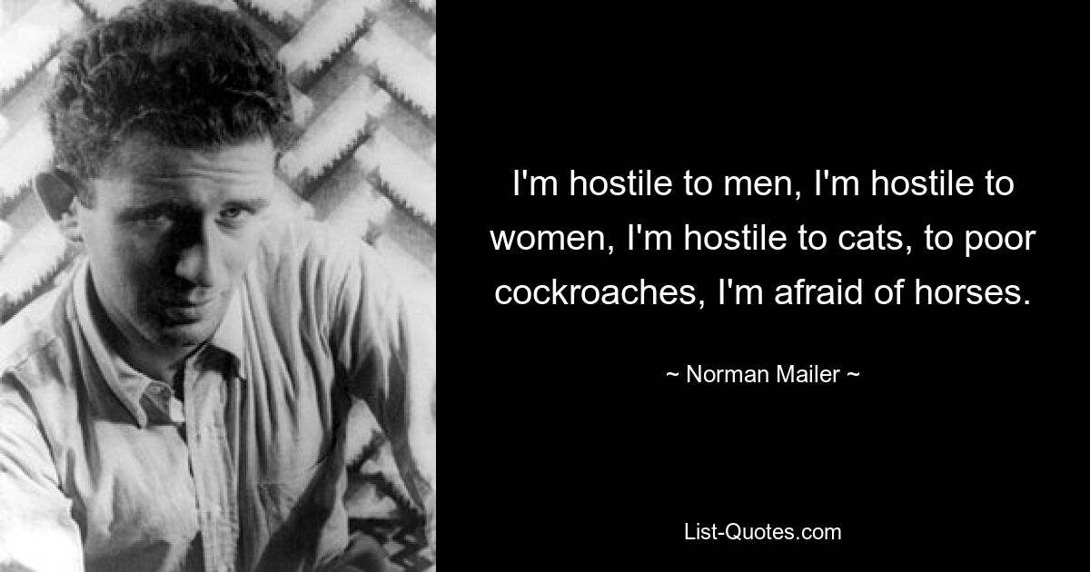 Ich bin feindselig gegenüber Männern, ich bin feindselig gegenüber Frauen, ich bin feindselig gegenüber Katzen, gegenüber armen Kakerlaken, ich habe Angst vor Pferden. — © Norman Mailer