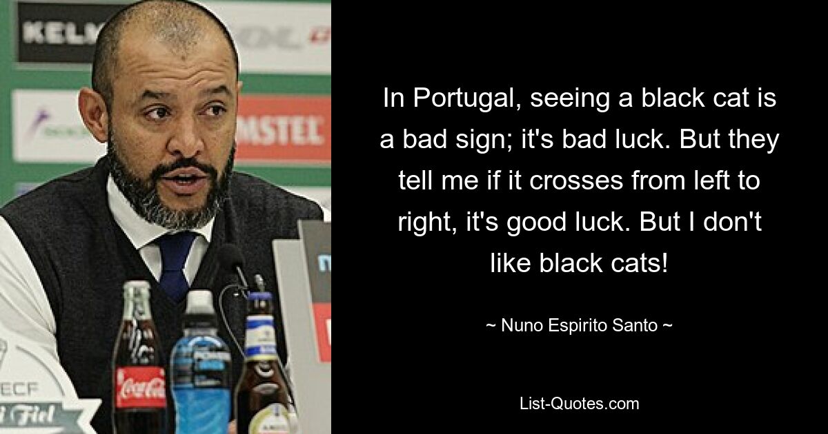 In Portugal, seeing a black cat is a bad sign; it's bad luck. But they tell me if it crosses from left to right, it's good luck. But I don't like black cats! — © Nuno Espirito Santo