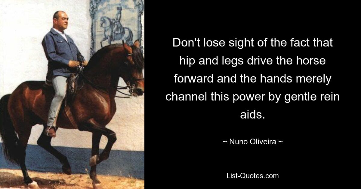 Don't lose sight of the fact that hip and legs drive the horse forward and the hands merely channel this power by gentle rein aids. — © Nuno Oliveira