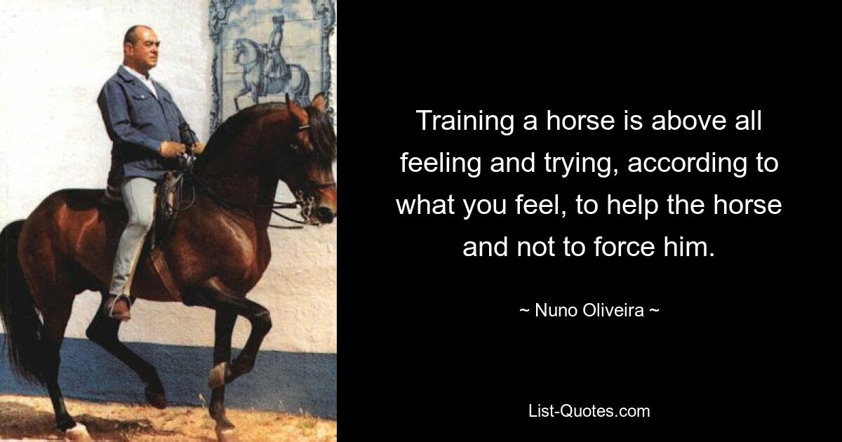 Training a horse is above all feeling and trying, according to what you feel, to help the horse and not to force him. — © Nuno Oliveira