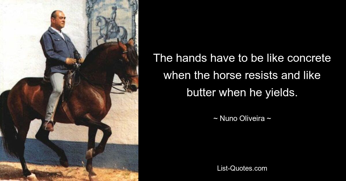 The hands have to be like concrete when the horse resists and like butter when he yields. — © Nuno Oliveira