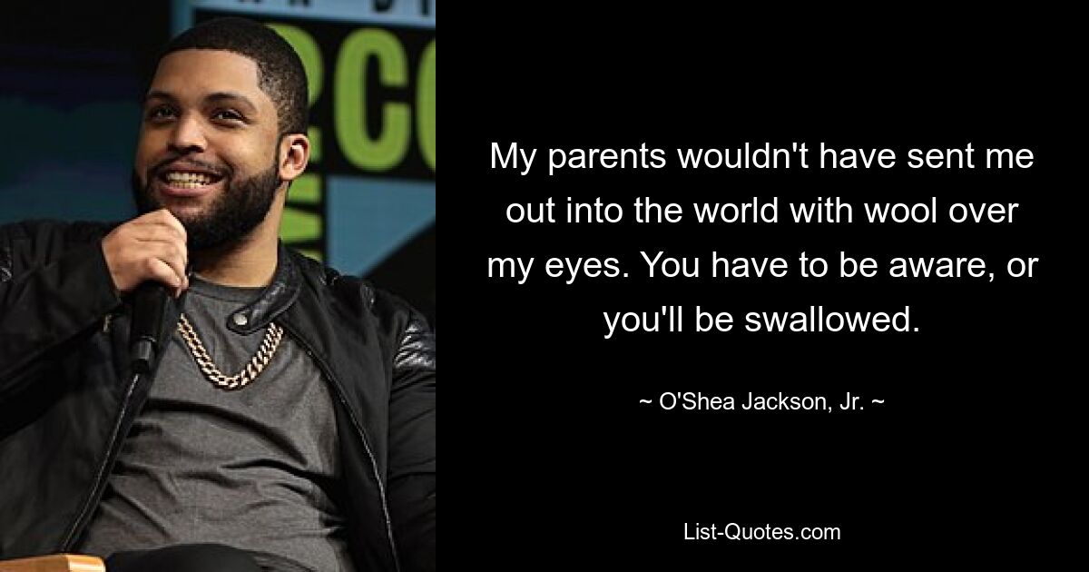 My parents wouldn't have sent me out into the world with wool over my eyes. You have to be aware, or you'll be swallowed. — © O'Shea Jackson, Jr.