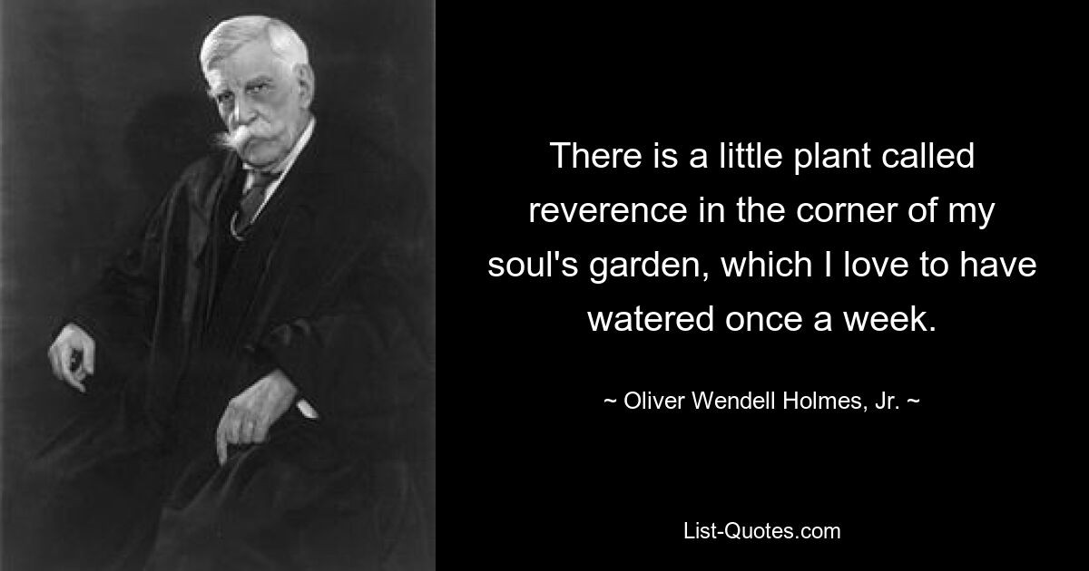 There is a little plant called reverence in the corner of my soul's garden, which I love to have watered once a week. — © Oliver Wendell Holmes, Jr.