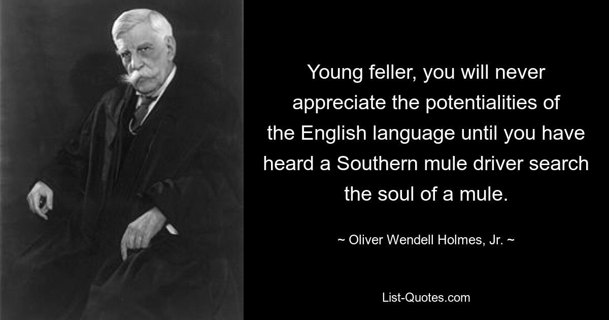 Young feller, you will never appreciate the potentialities of the English language until you have heard a Southern mule driver search the soul of a mule. — © Oliver Wendell Holmes, Jr.