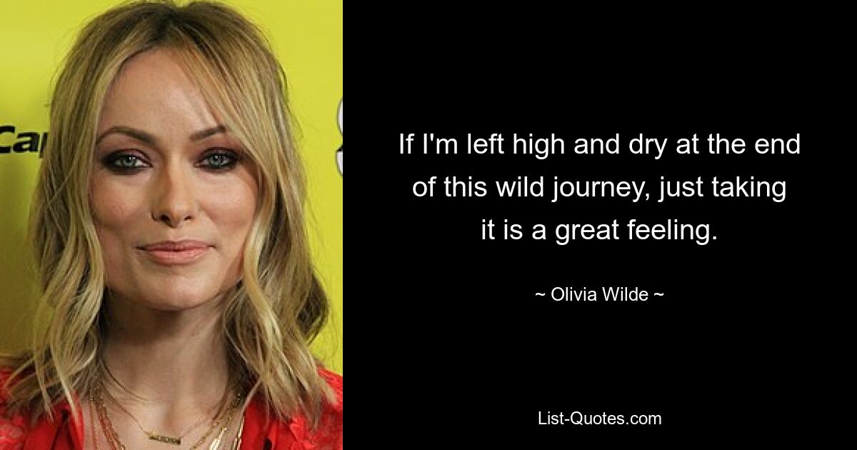 If I'm left high and dry at the end of this wild journey, just taking it is a great feeling. — © Olivia Wilde